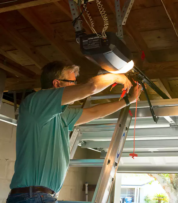 Craftsman Garage Door Opener Repair in Whitney, NV
