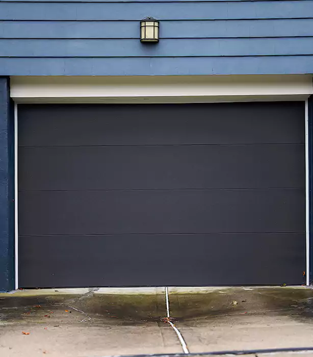 Overhead  Door Installation Whitney