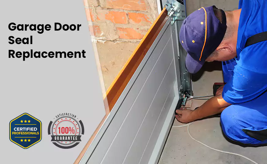 Garage Door Seal Replacement in Whitney, NV